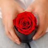 Rosenbox mit einzelner echter Rose - Rund
